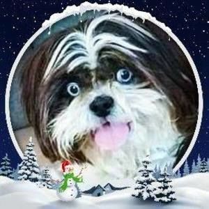 Meet your Posher, Gary